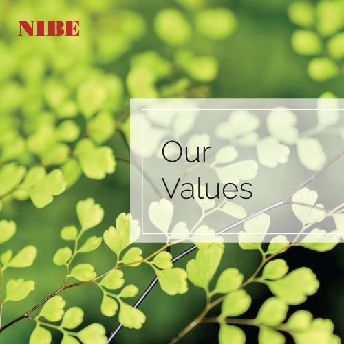 Nibe Values